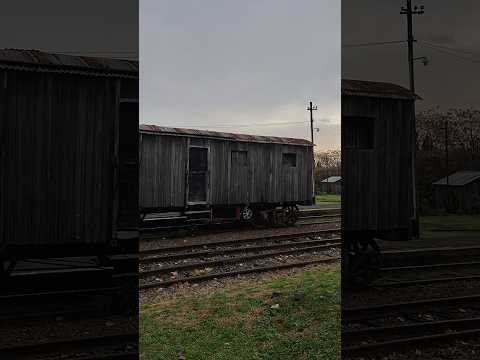 Vagones Antiguos en Estación Ferroviaria Chascomús Buenos Aires Argentina