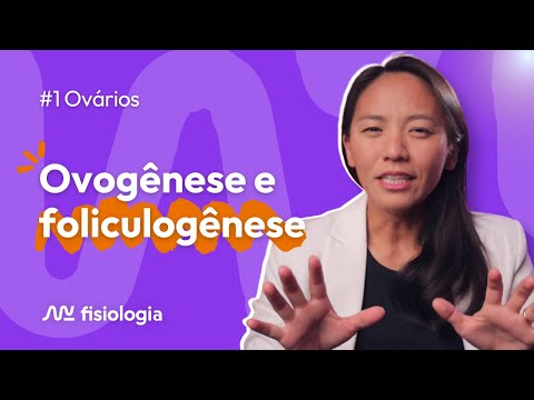 [#1] OVARIES: OOGENESIS AND FOLLICULOGENESIS | MK Physiology
