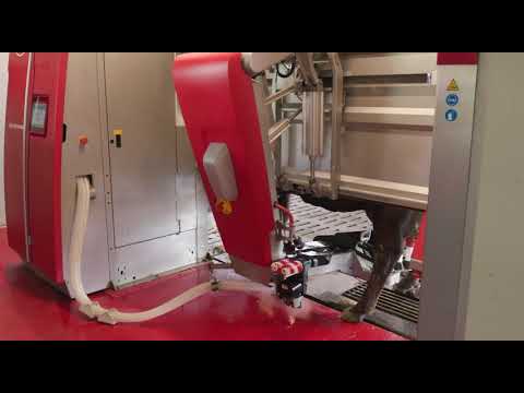 Processus robot de traite Astronaut A5 de Lely