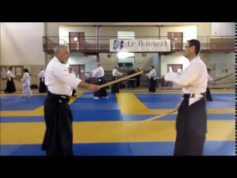 Michel BENARD Shihan - CEN  Gerard OBELLIANNE 6ème DAN - ACTR