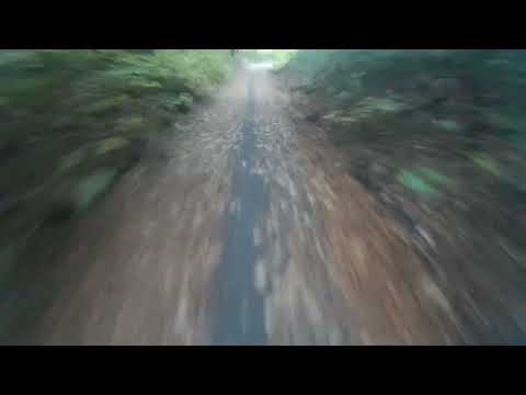 2022/10/20 | Dresdener Heide