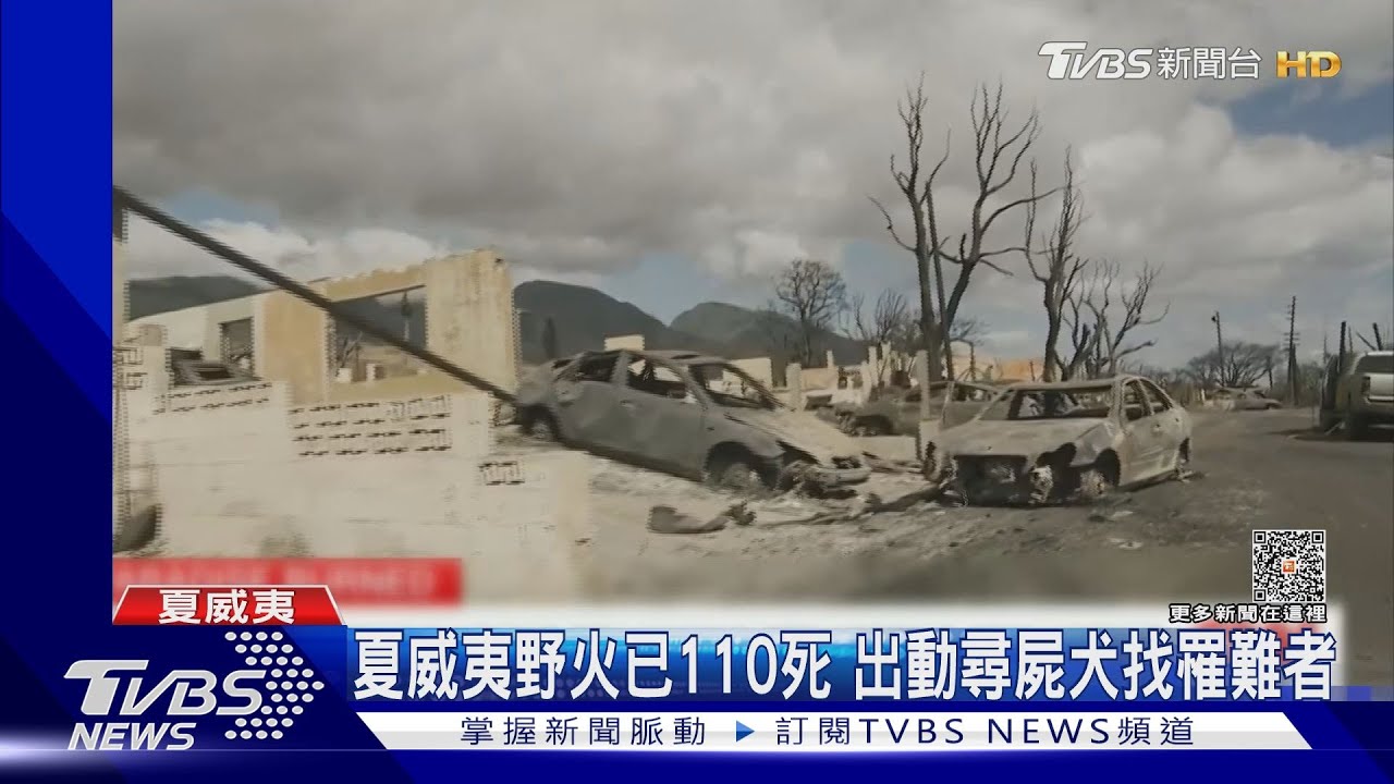 夏威夷野火逾百死僅5人被認出 當局增20隻尋屍犬協助