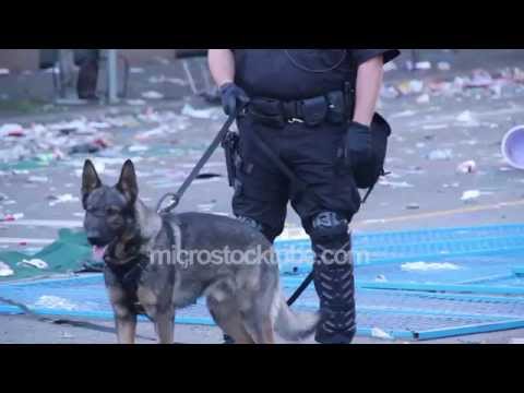 Commercial Stock Footage 1080p - K9 unit with dog during riot with trash and fire in the background