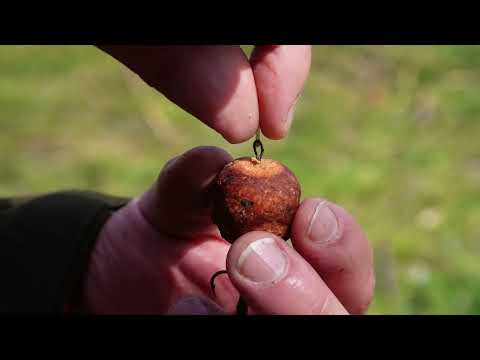 ZFISH - Zarážky Pellet Stops 21 mm 25 ks