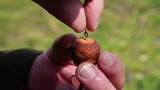 ZFISH Zarážky Pellet Stops 13 mm