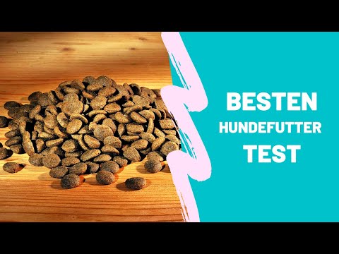 Die Besten Hundefutter Test - (Top 5)