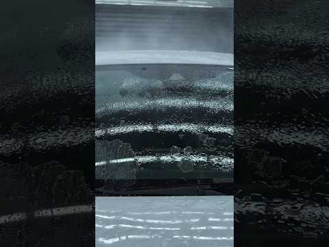 WB: #165639012 OZON: #803653929