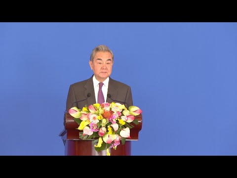 Wang Yi: The Architect of China's Foreign Policy | Community Health