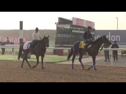 Dubai World Cup Morning Training March 23, 2017 - Part 4