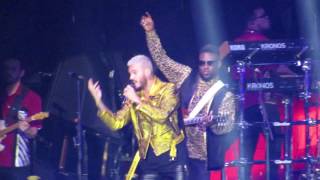 Magnolias for ever - M Pokora