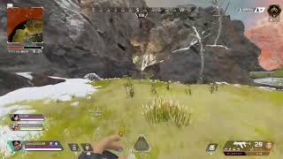APEXし過ぎてテストでAPECをAPEXと答えた人です
