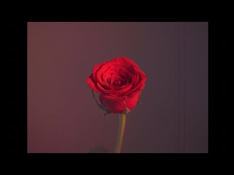 A Mí Y A Nadie Más - Dstance