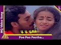 Pudhu Nellu Pudhu Naathu Movie Songs Poo Poo Pootha Video Song Rahul Sukanya Ilaiyaraaja