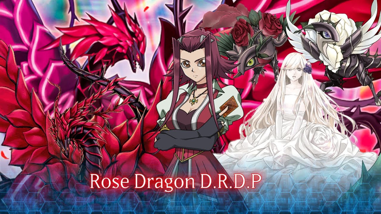 Rose Dragon Duel Replay and Deck Profile