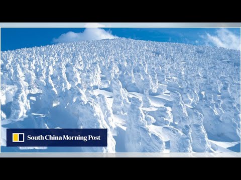 5 reasons Zao Onsen is fast becoming Japan’s next winter sensation