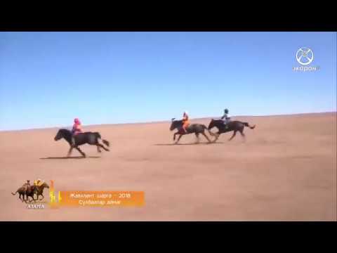 Жавхлант шарга 2018 Сүхбаатар аймаг