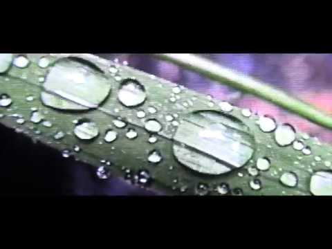 Hnrk & Kodyak - Geosmin EP