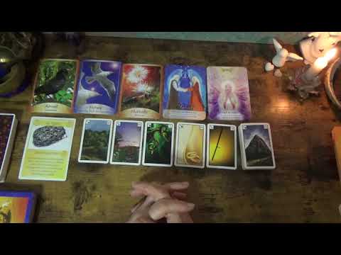 🙏💖The daily oracle for Wednesday, February 4, 2026 // Trust your intuition... 💖🙏