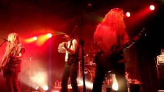 Crows bring the spring