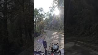 Riding through Sikkim’s lush forest 😍 #motorcycletrip #travel #india #indiatravel #travel