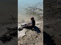 Stuck In The Mud