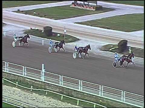 Trotto 19/11/2015 - 1° prova di qualifica