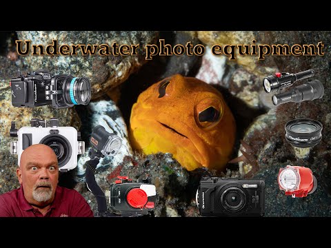 Essential equipment for beginners in underwater photography