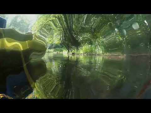 Spływ Kajakowy WARTA. Wypożyczalnia Kajaków K4 .  Relacja ze spływy na trasie Kule- Działoszyn