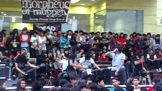 Download lagu LAST KISS FROM AVELIN   whats left of me @bandung trade mall MOV mp3