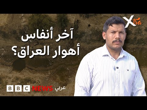 فيديو | الجفاف في أهوار العراق يهدد الحياة البرية