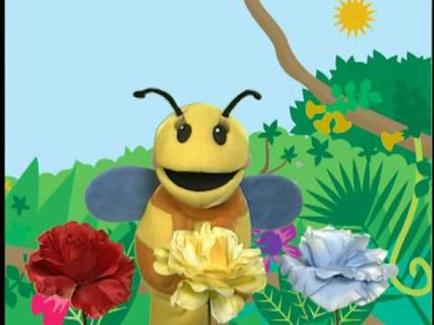 Baby Einstein First Sounds - Fun For Babies