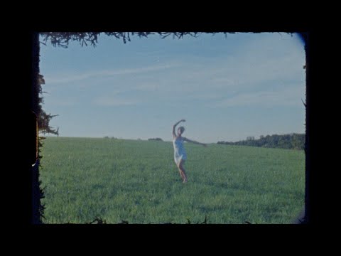 Shelter - Alice Phoebe Lou
