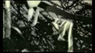 Mando Diao - Nothing Without You