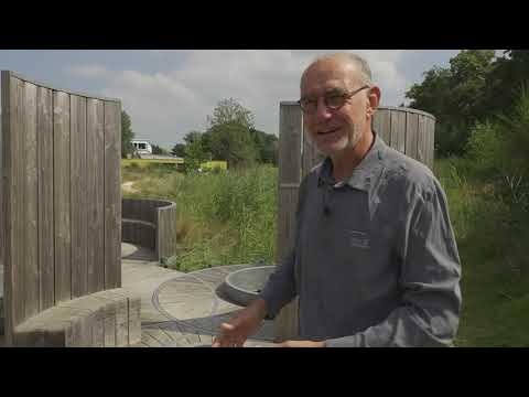 Boek over 100 jaar Hortus Haren: “De Chinezen gebruikten hun eigen steigers van bamboe”