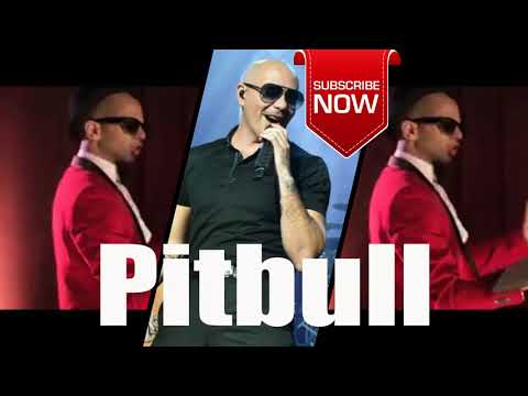 La Confesion   Sensato Ft Pitbull And D Banj   004  Photo Song