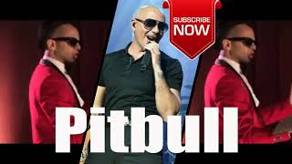 La Confesion   Sensato Ft Pitbull And D Banj   004  Photo Song