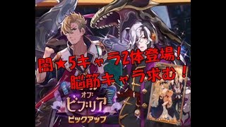 【ドラガリアロスト】闇★5キャラ2体登場！コール・オブ・ビブリア召喚引いてみた！