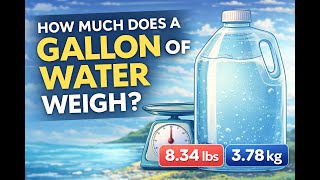 How Much Does a Gallon of Water Weigh Exciting Facts + Exact Answer in Pounds and KG