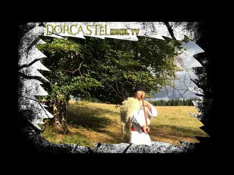 " DOINA la Tilinca " with Vasile Crisan