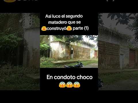 Segundo matadero de reces en Condoto abandonado