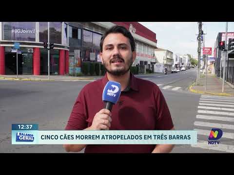Cinco cães morrem atropelados na SC-303 em Três Barras
