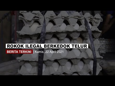 [REDAKSI] Rokok Ilegal Berkedok Telur