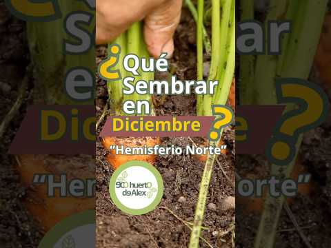 December Planting Guide: Northern Hemisphere Garden Prep 🌱