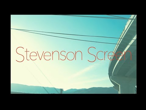 in the blue shirt - Stevenson Screen