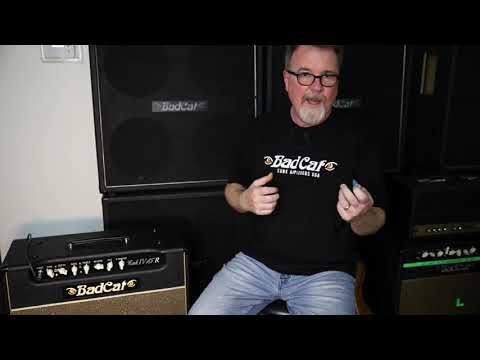 Bad Cat Cub IV 15R Guitar Combo Amp image 6