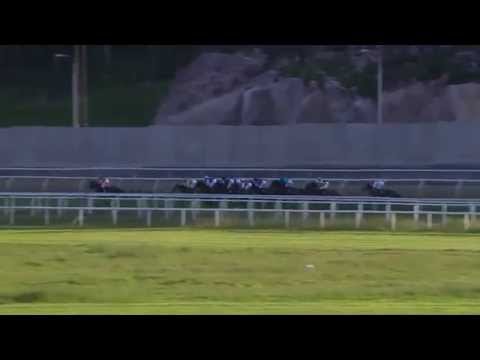 2015.06.09 Bloomers' Vase (SWE) - Amie Noire