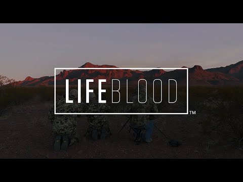 FLORIDA MOUNTAINS IBEX - Tim Baily