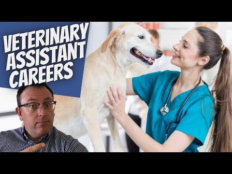 Dr. Sara May, Allergy and Immunology