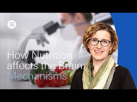 How nutrition affects the brain by Georgia Ede