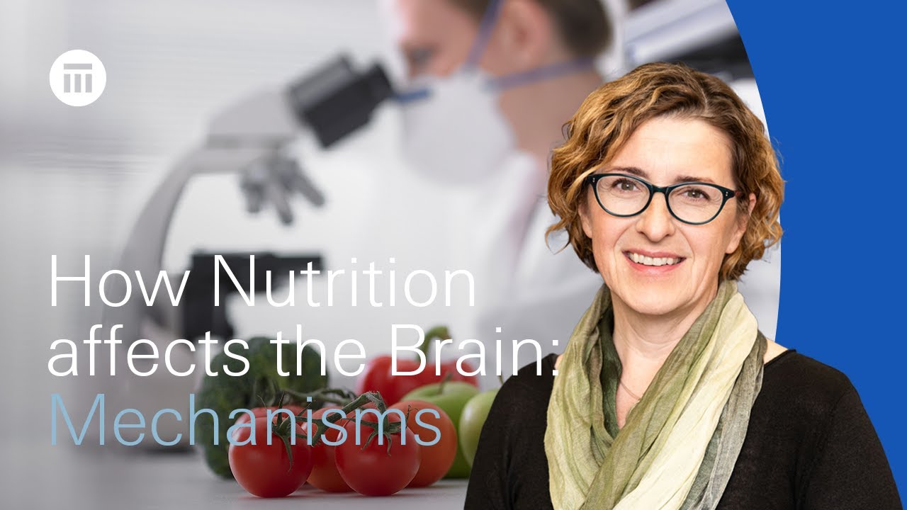How nutrition affects the brain by Georgia Ede